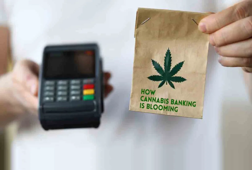 From Reefer Madness to Greenbacks: How Cannabis Banking is Blooming