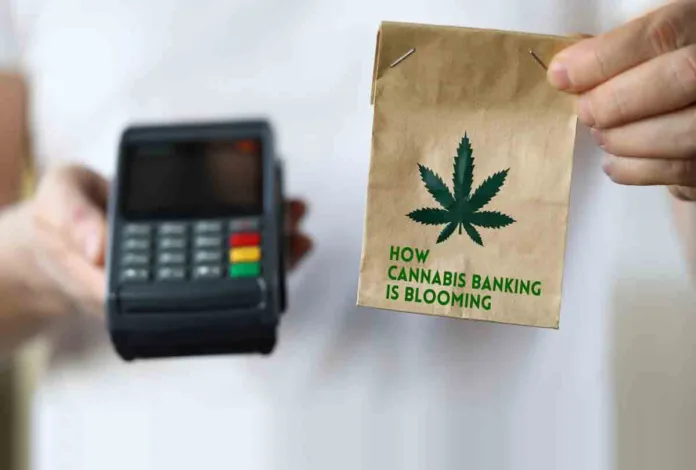 From Reefer Madness to Greenbacks: How Cannabis Banking is Blooming